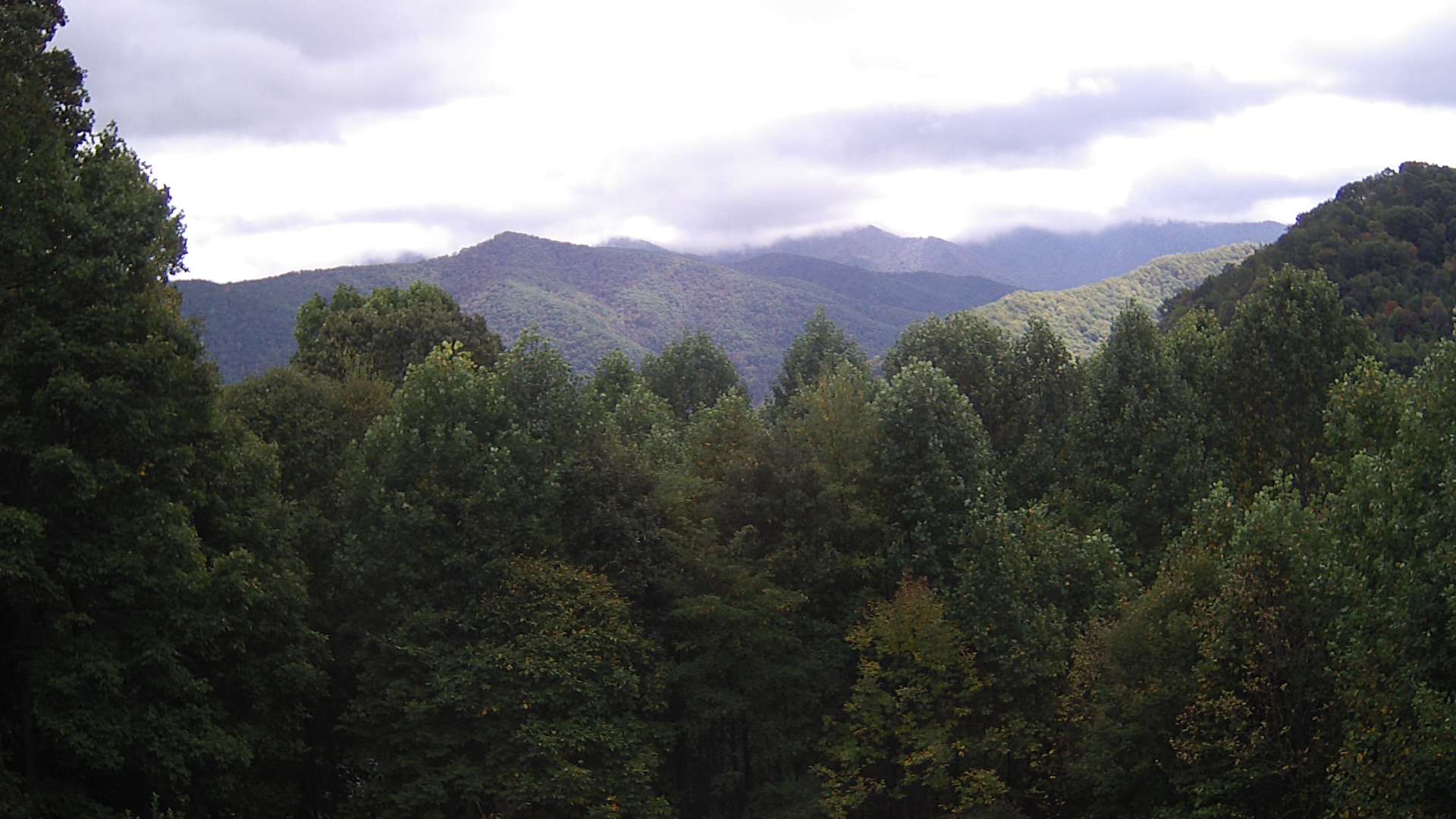 click for next image... slideshow image