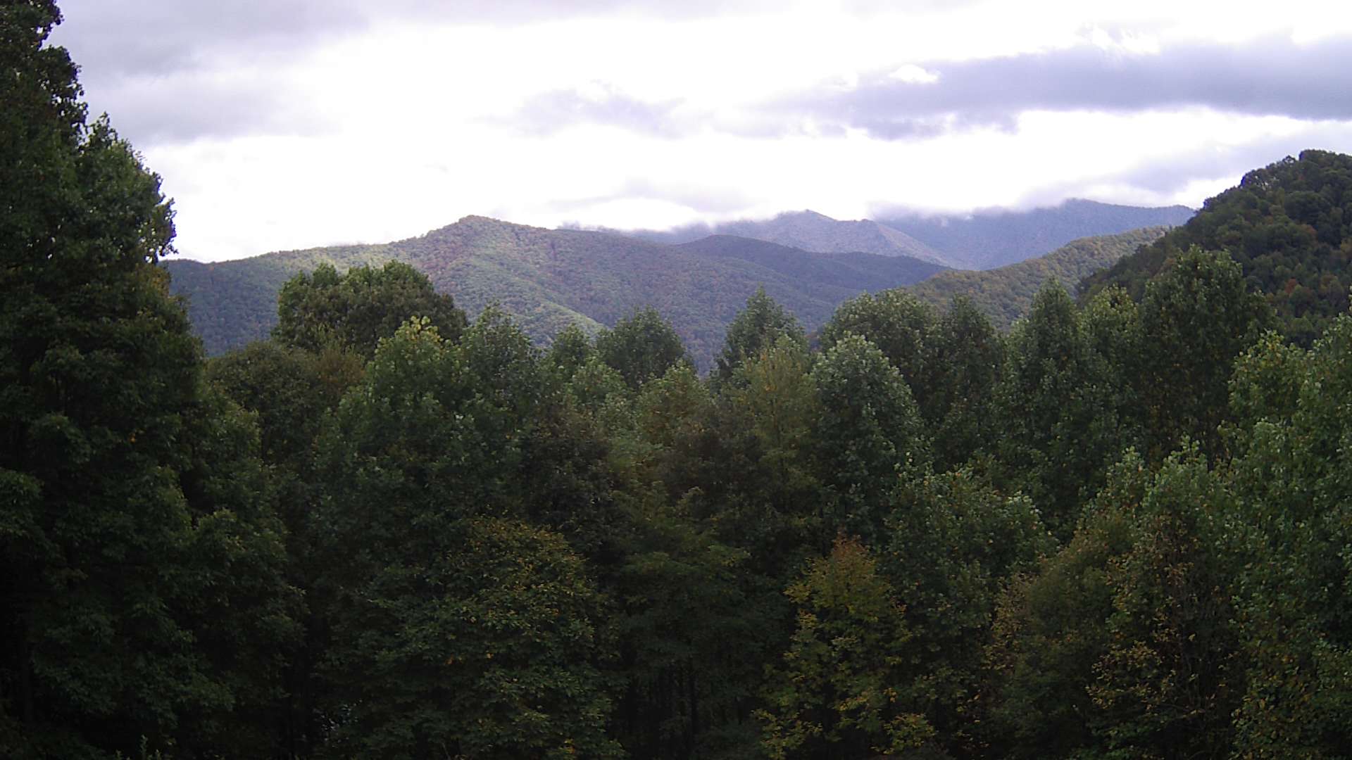 click for next image... slideshow image