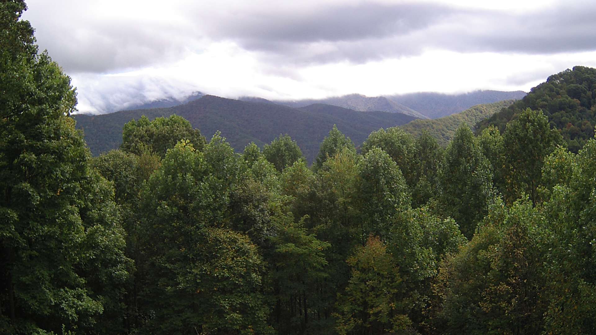 click for next image... slideshow image