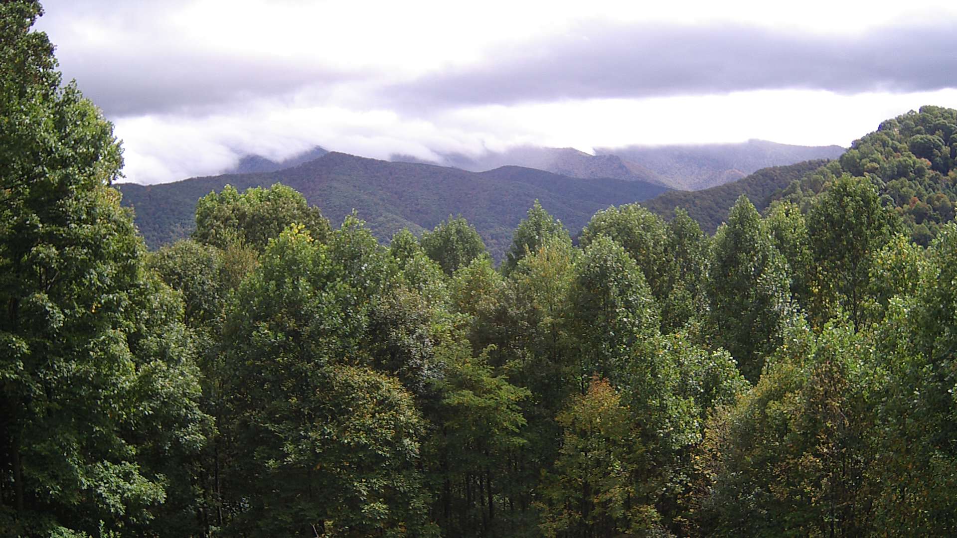 click for next image... slideshow image