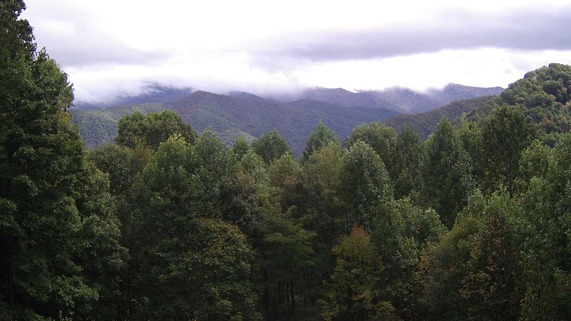 click for next image... slideshow image