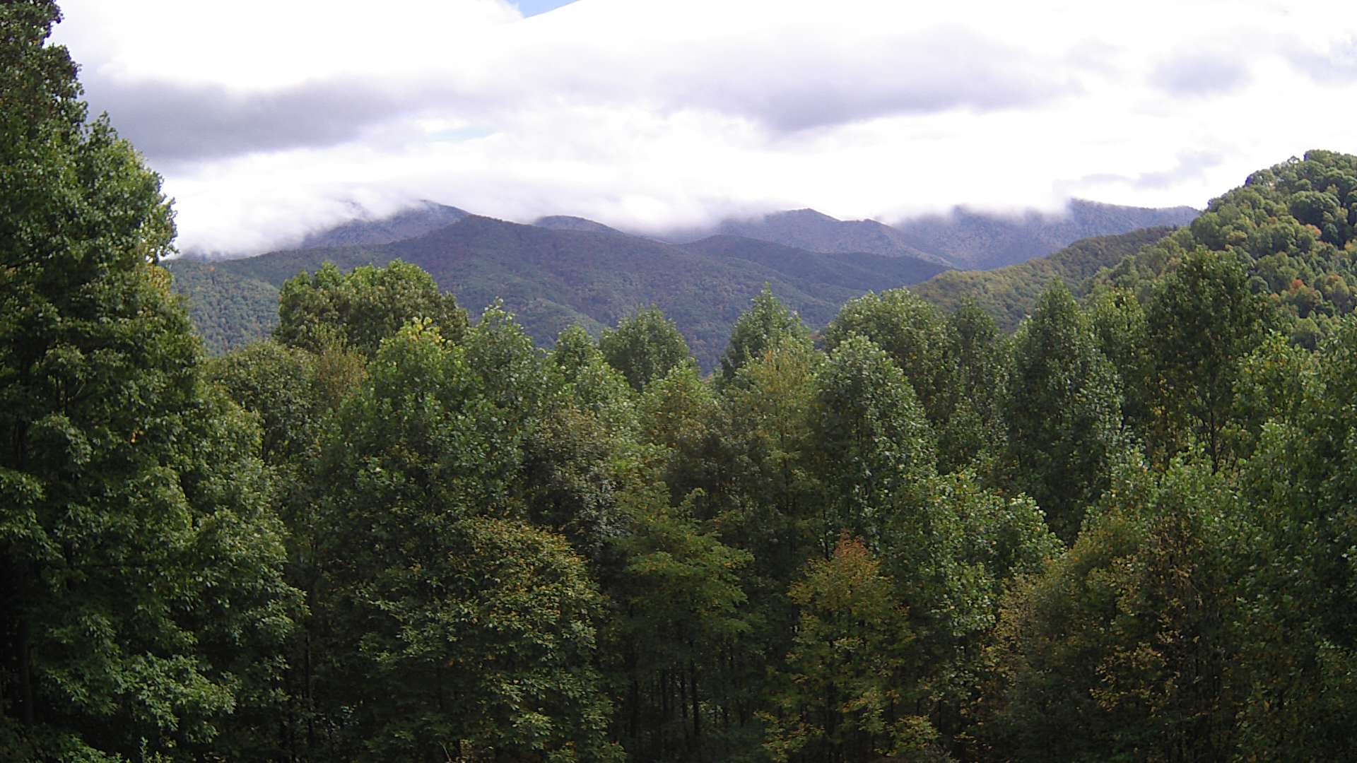 click for next image... slideshow image