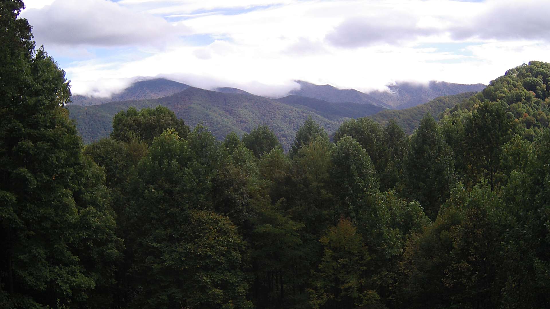 click for next image... slideshow image