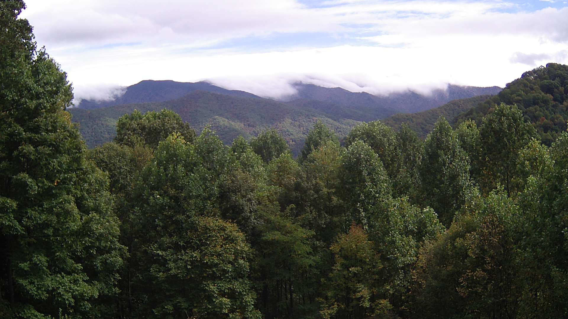 click for next image... slideshow image