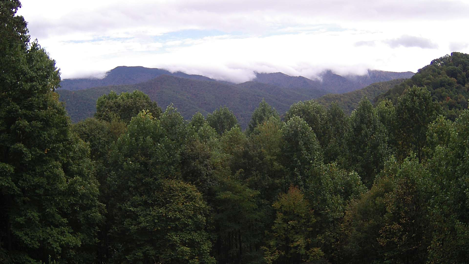 click for next image... slideshow image