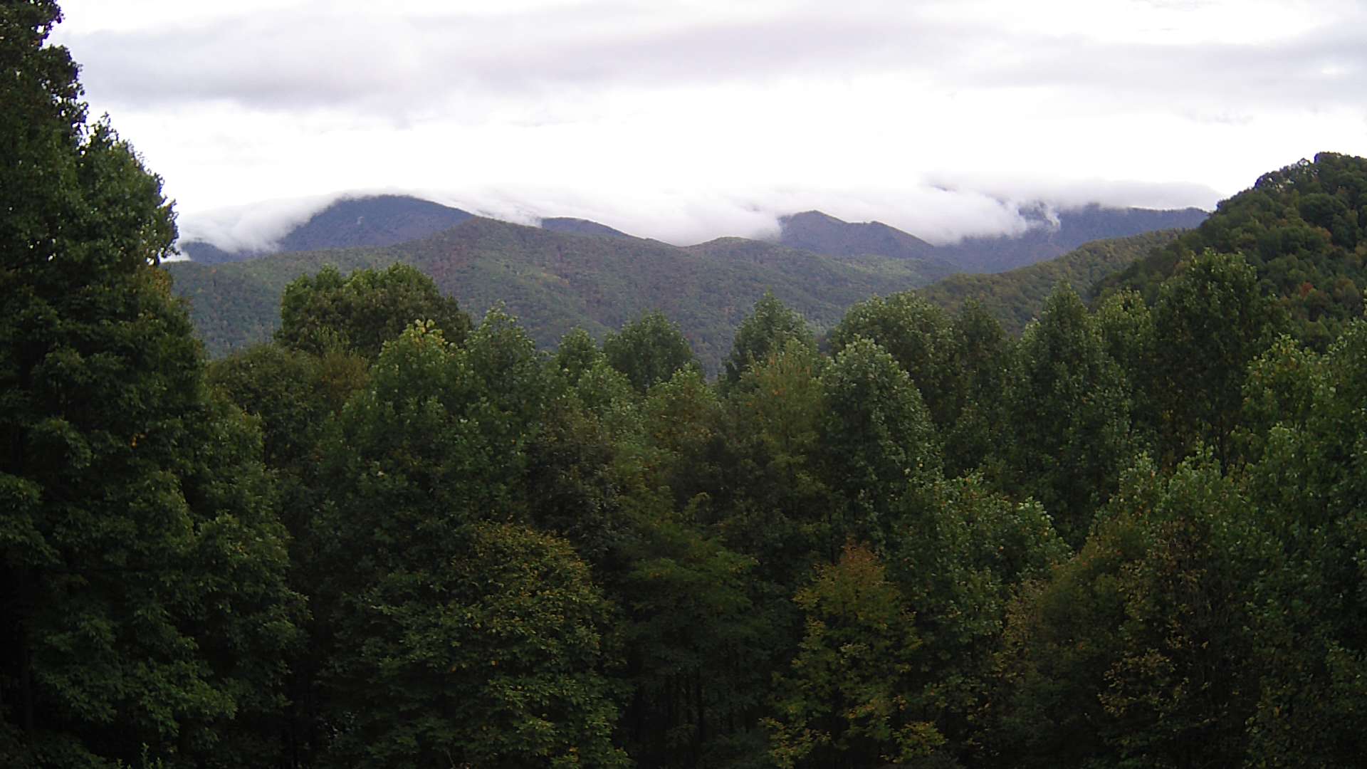 click for next image... slideshow image