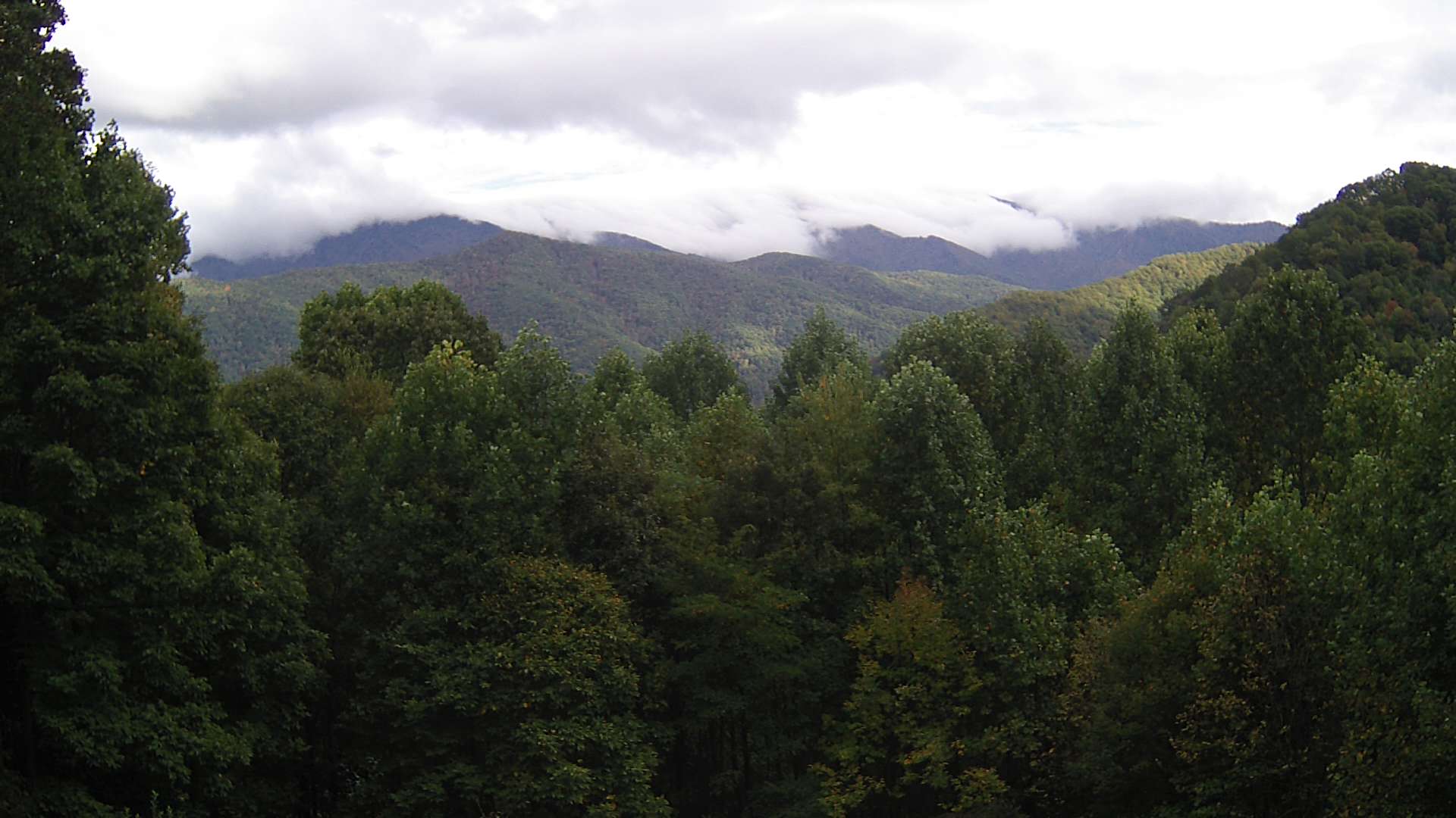 click for next image... slideshow image