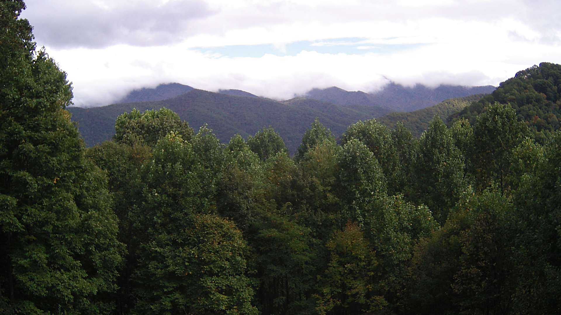 click for next image... slideshow image