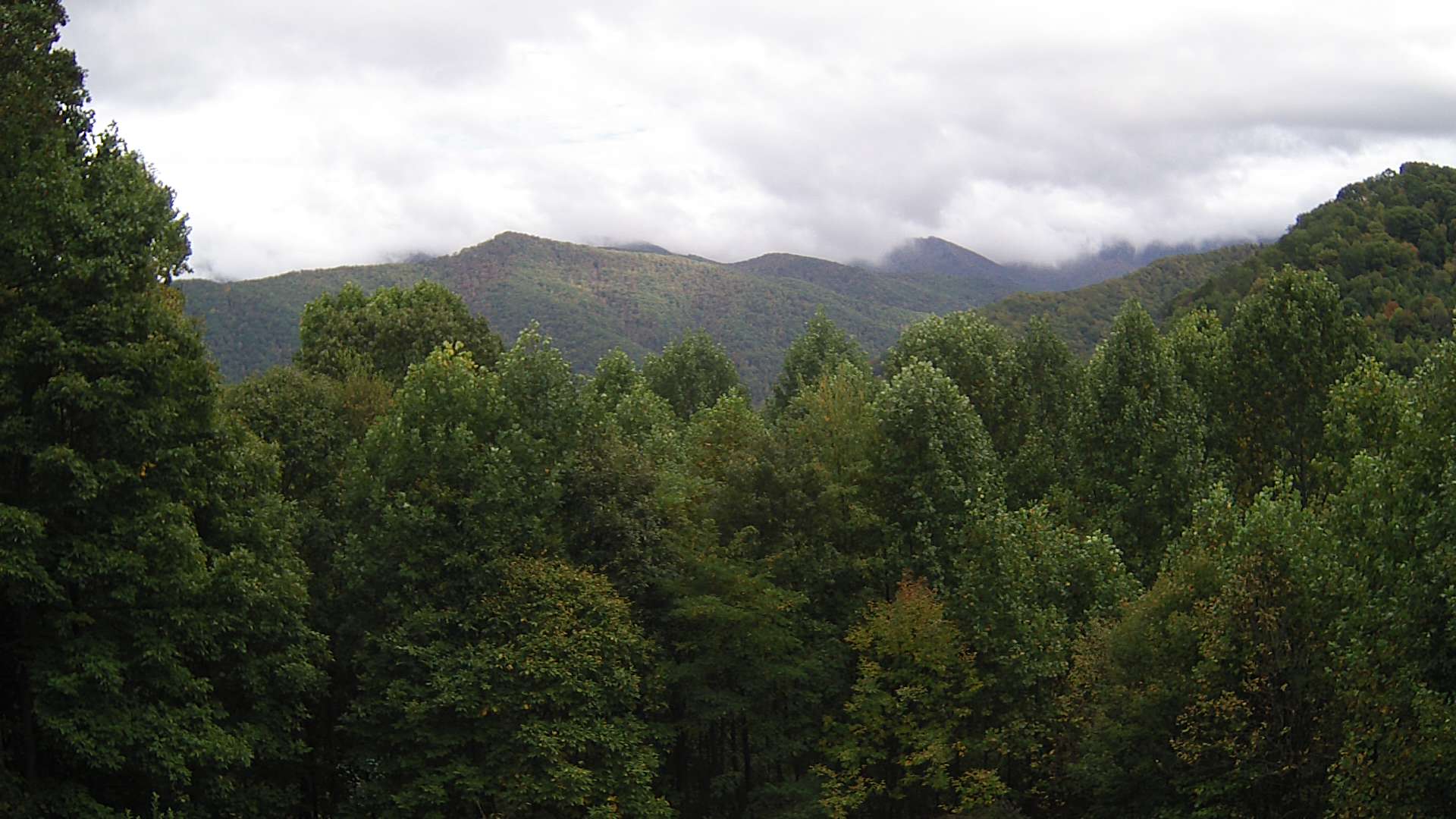 click for next image... slideshow image