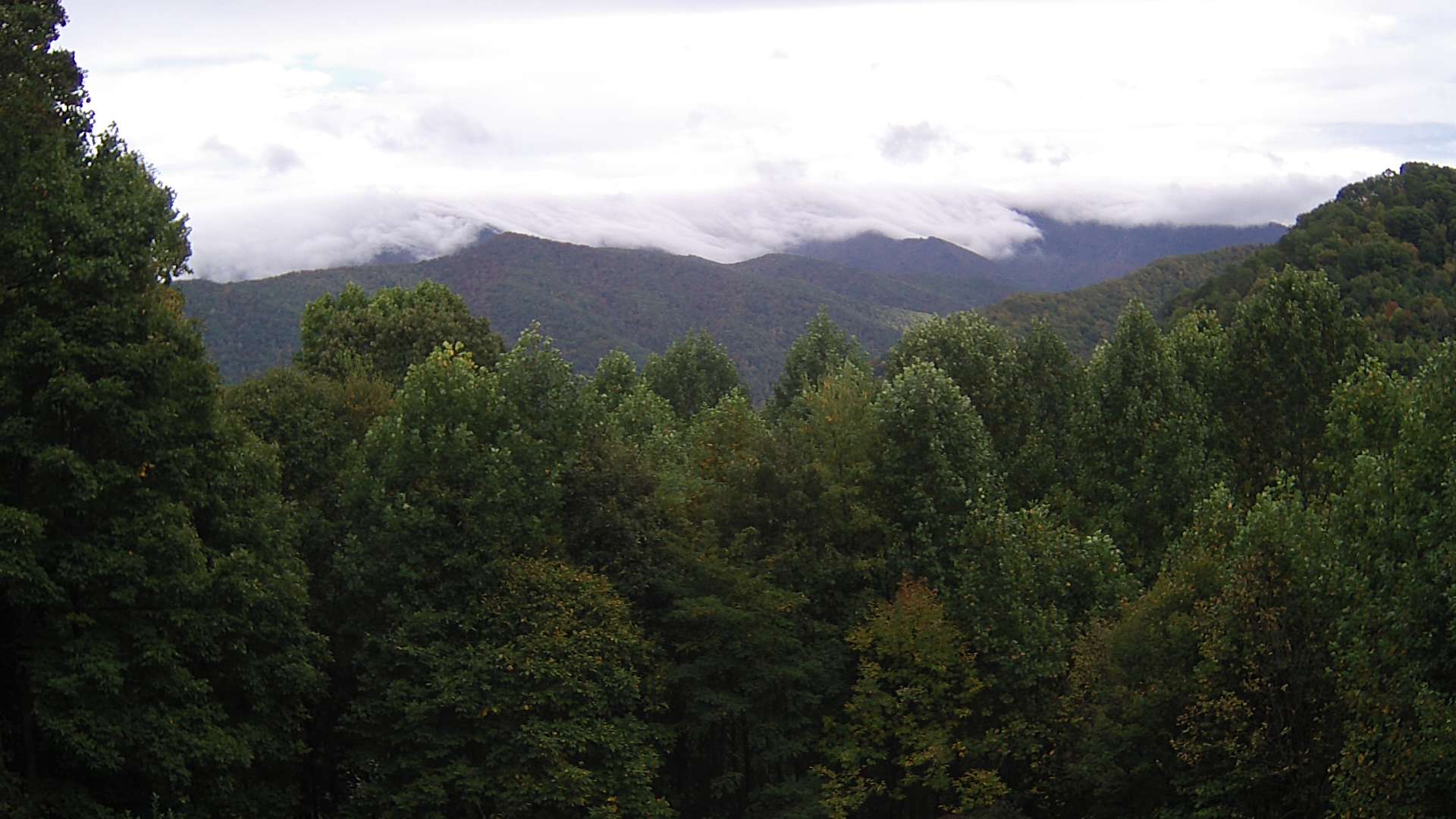 click for next image... slideshow image