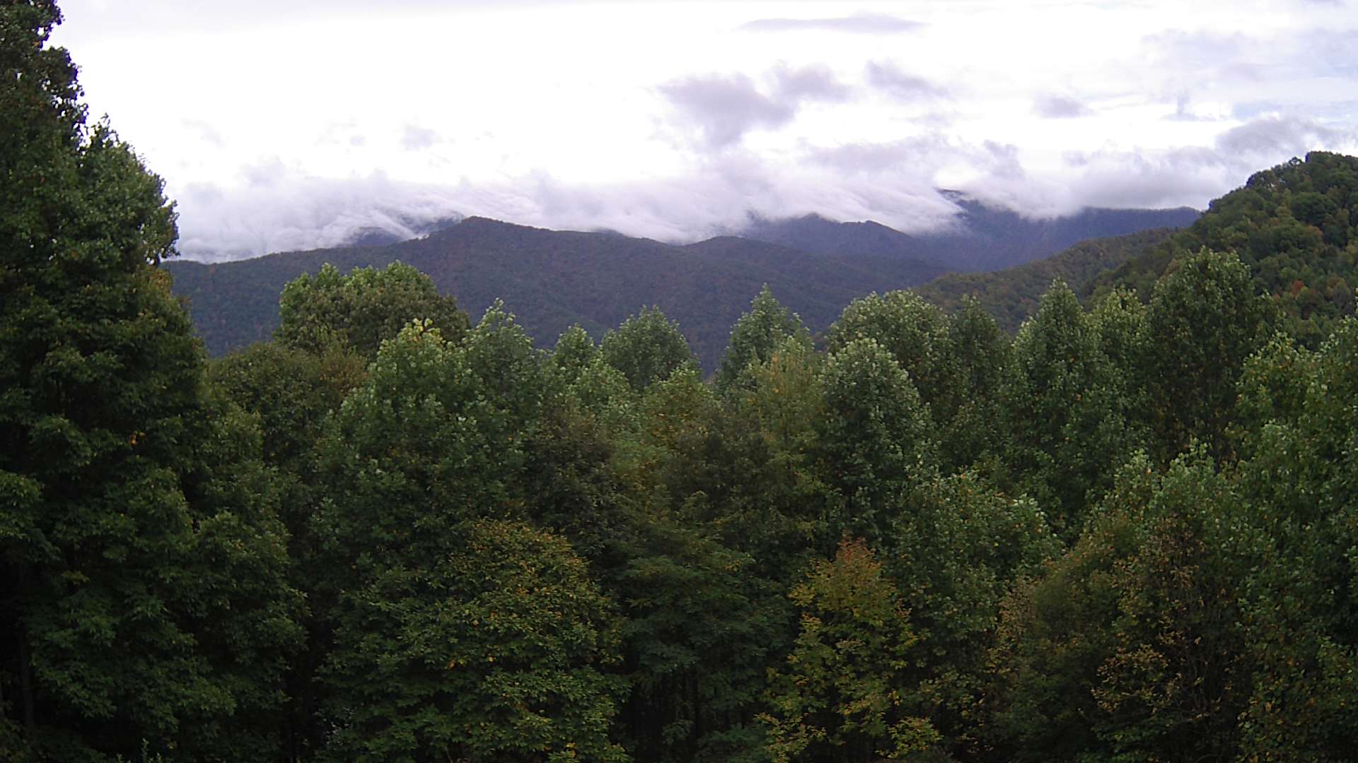 click for next image... slideshow image