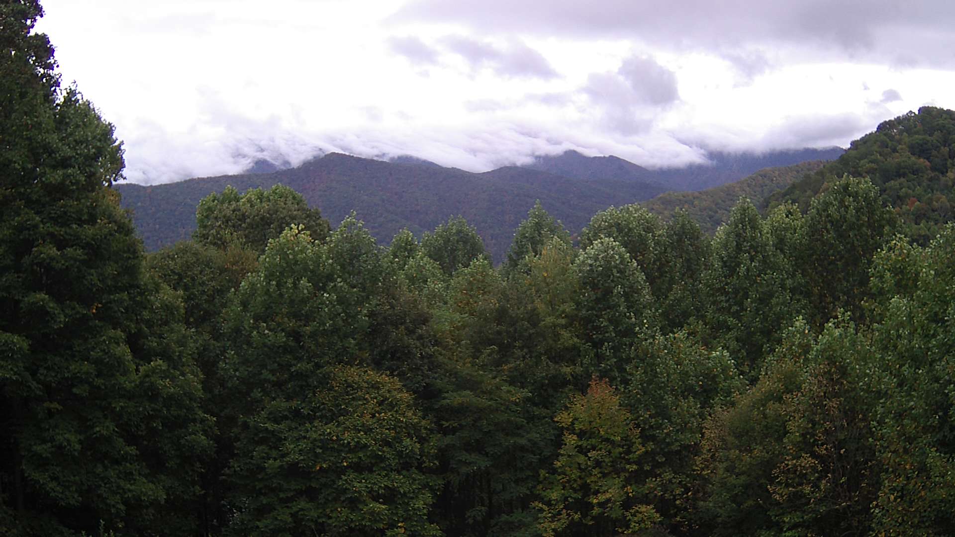 click for next image... slideshow image