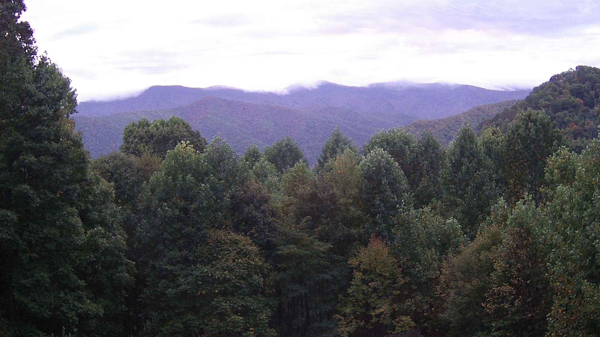 click for next image... slideshow image