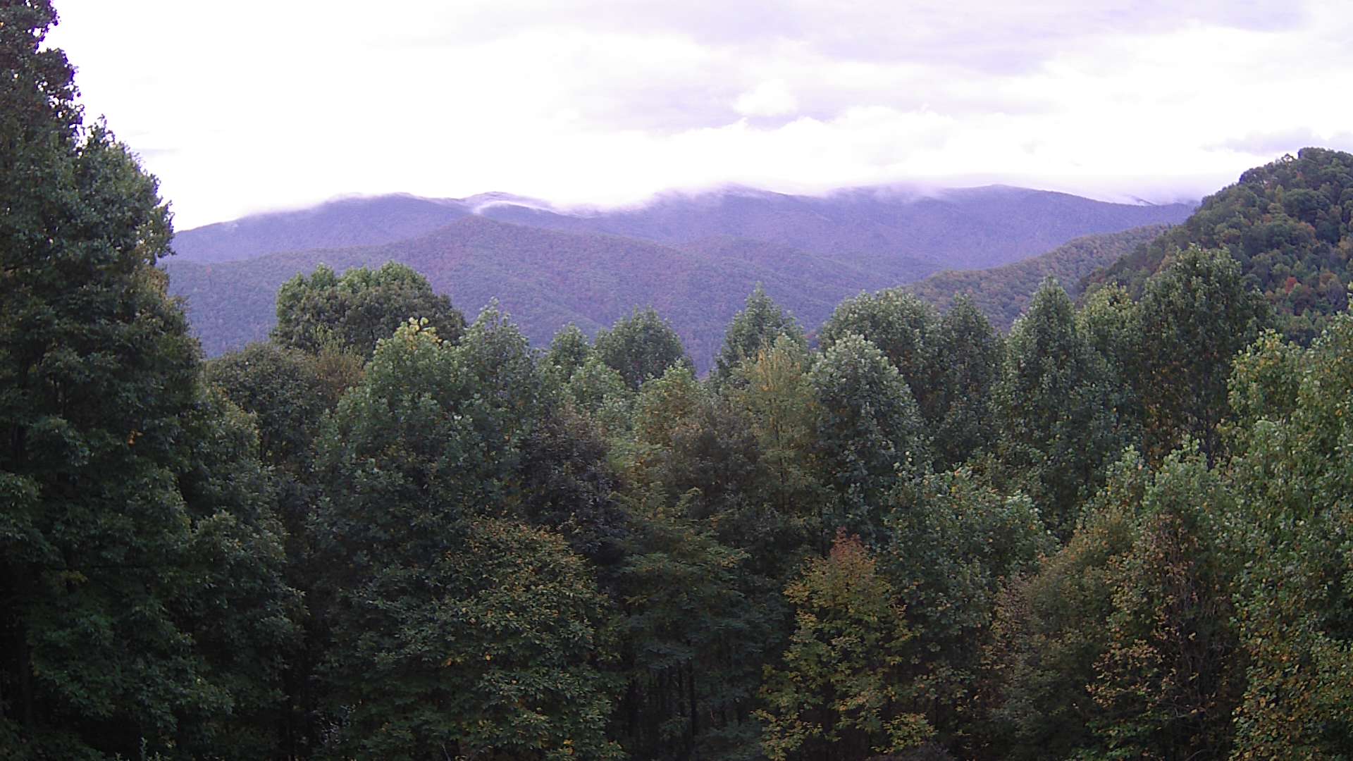 click for next image... slideshow image