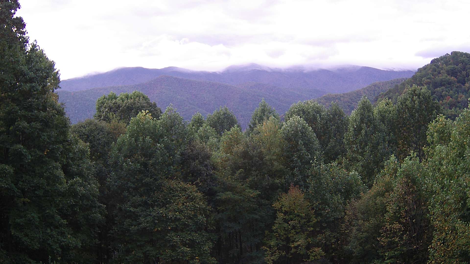 click for next image... slideshow image