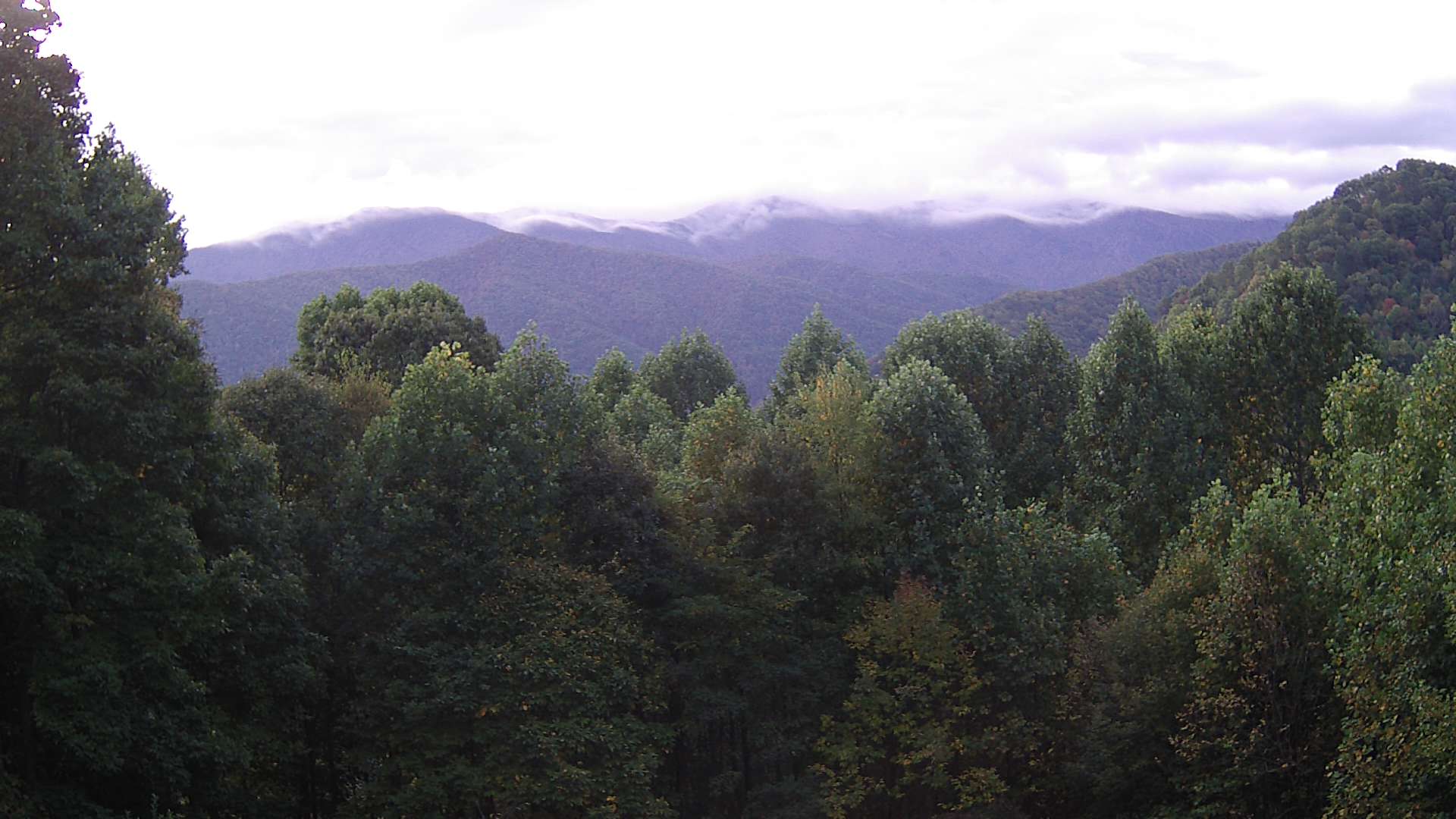 click for next image... slideshow image