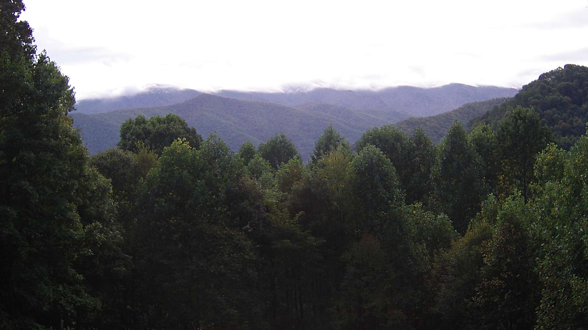 click for next image... slideshow image