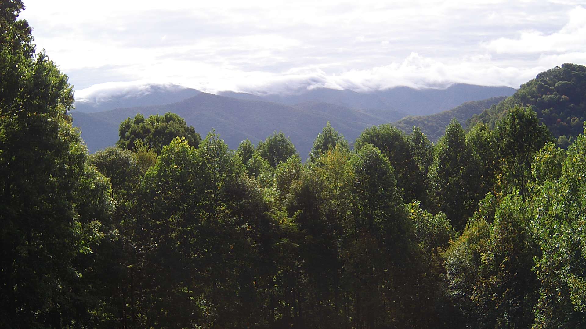 click for next image... slideshow image