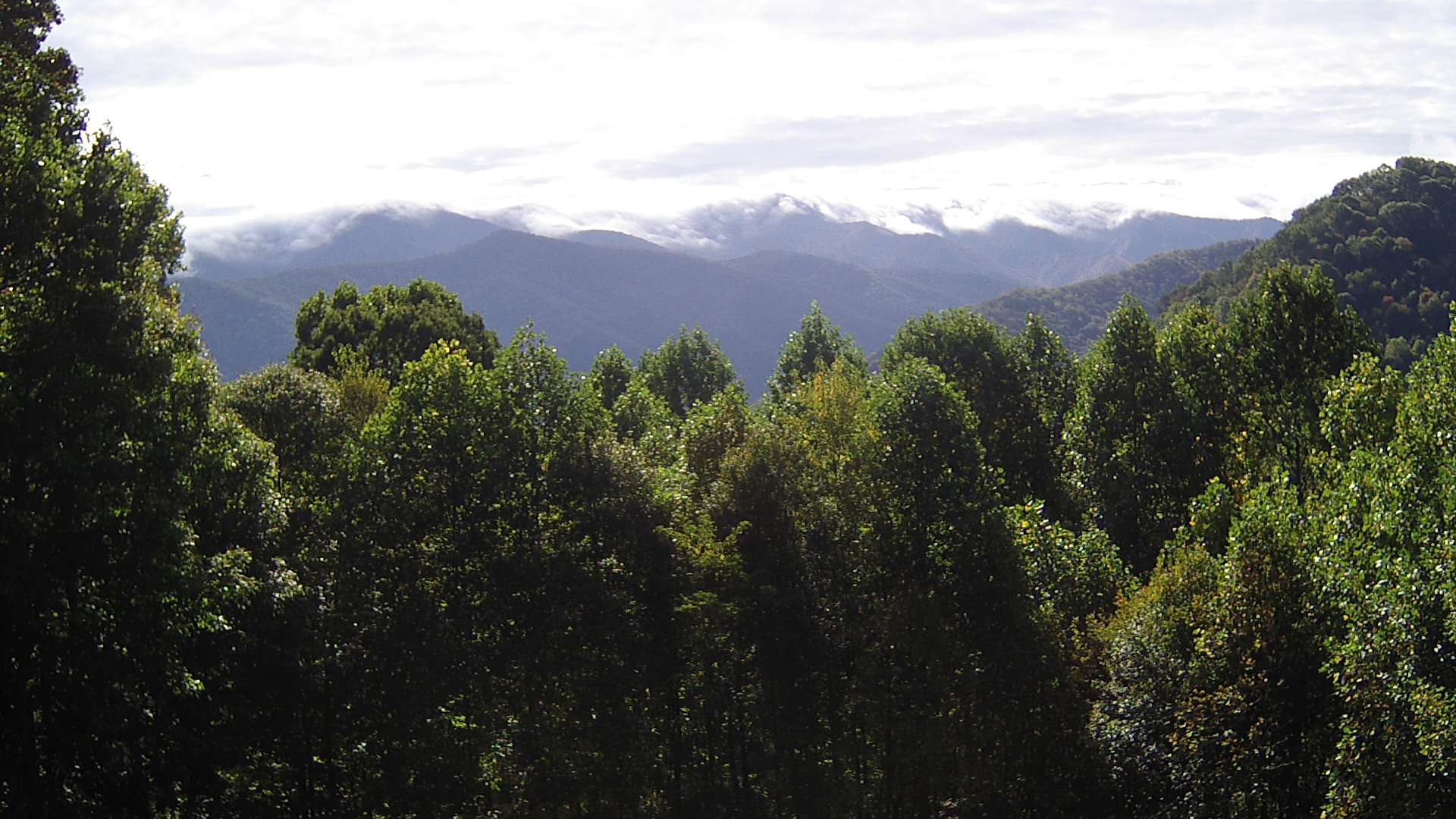 click for next image... slideshow image