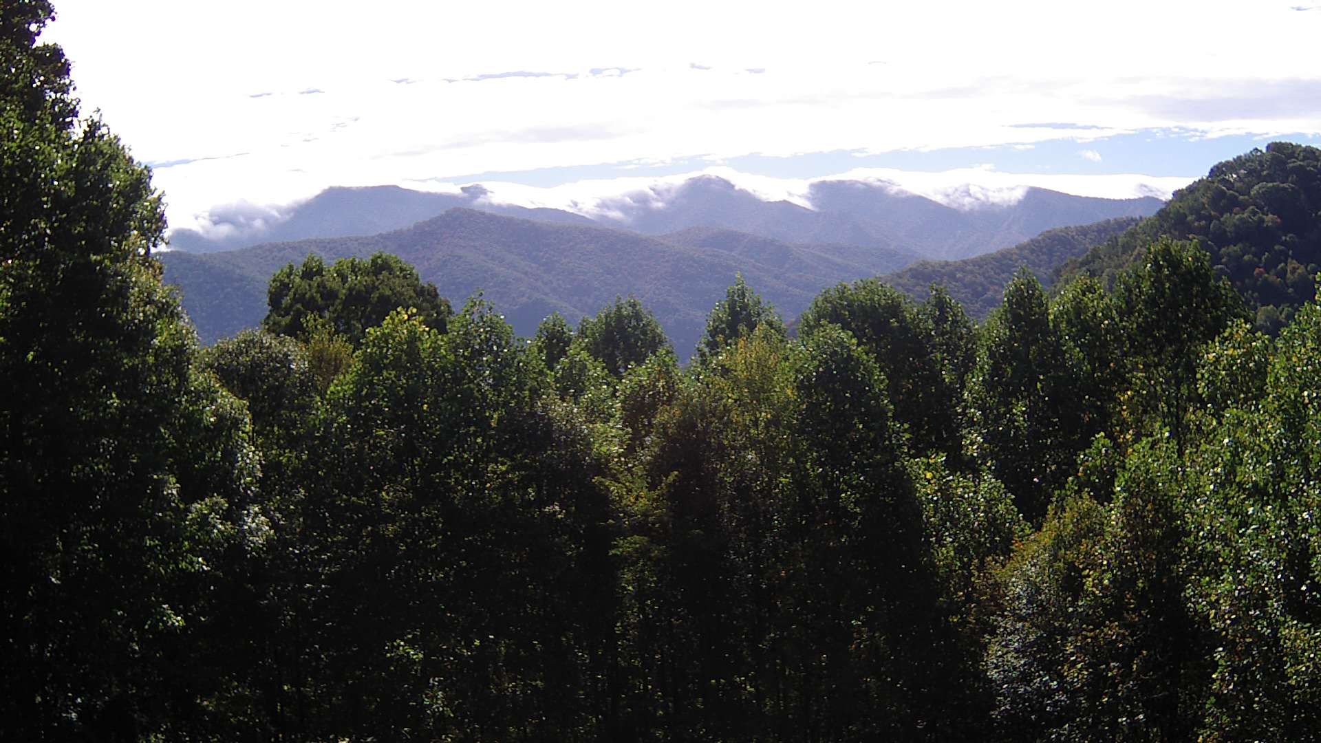 click for next image... slideshow image