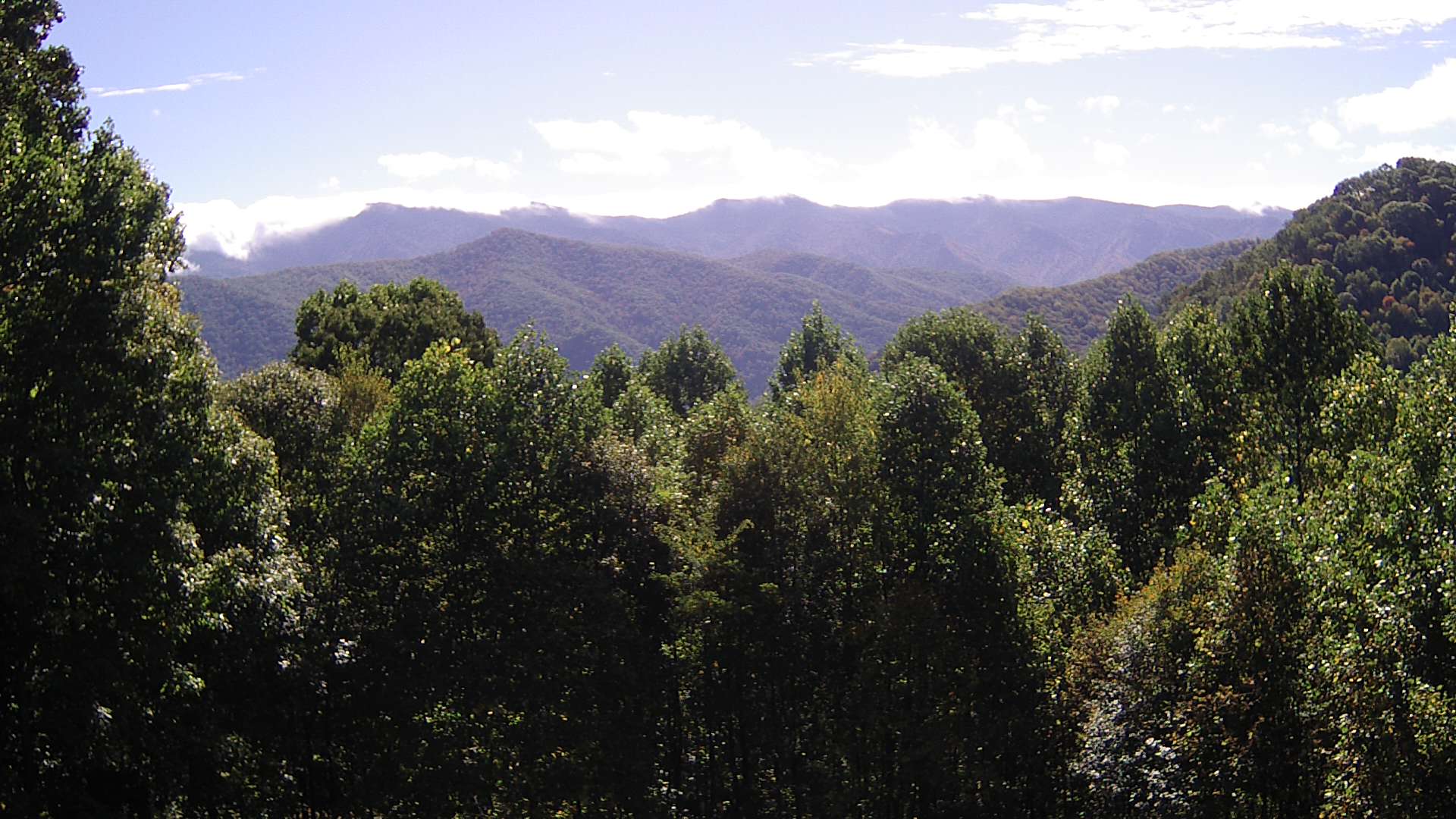 click for next image... slideshow image