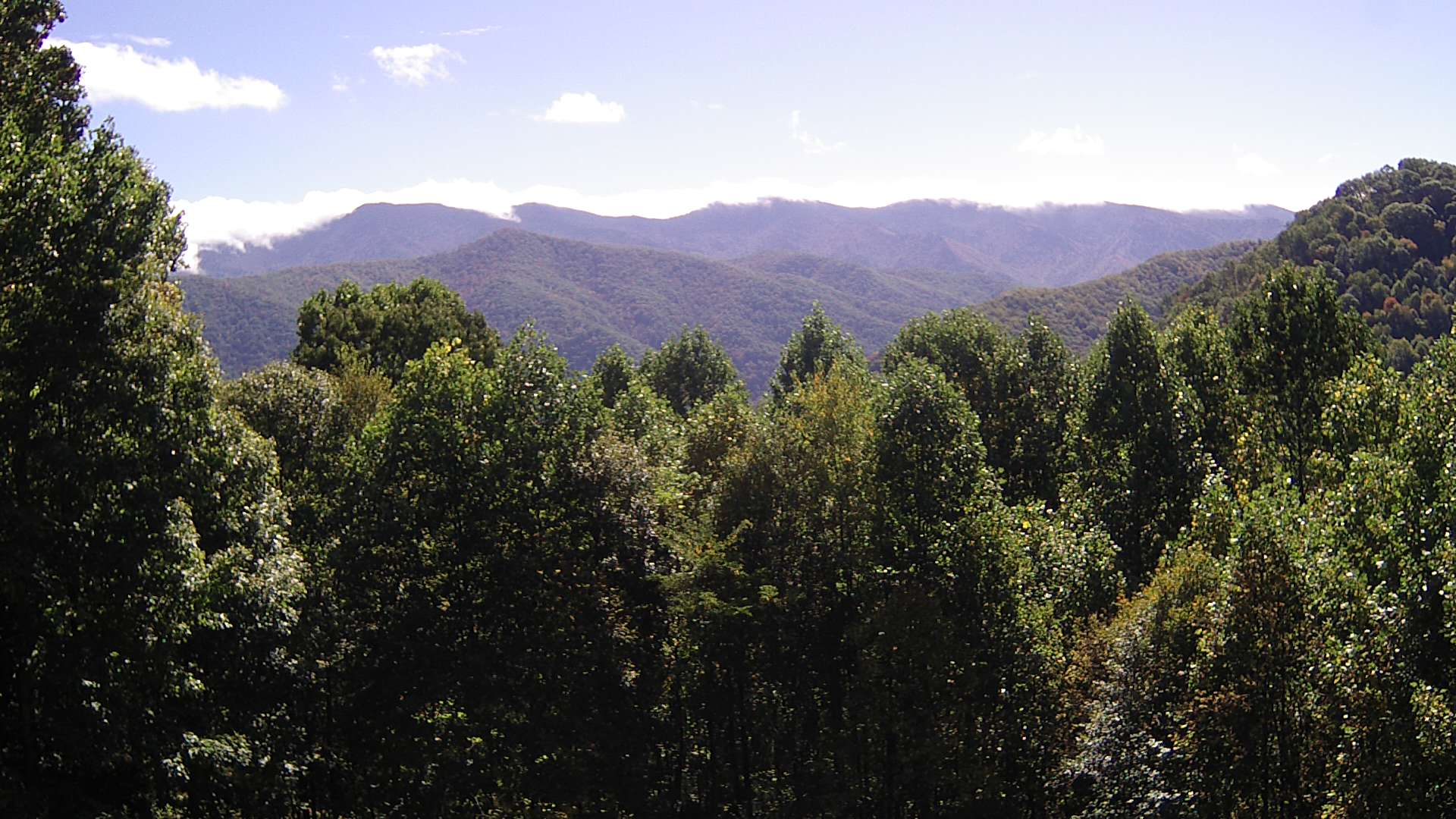 click for next image... slideshow image