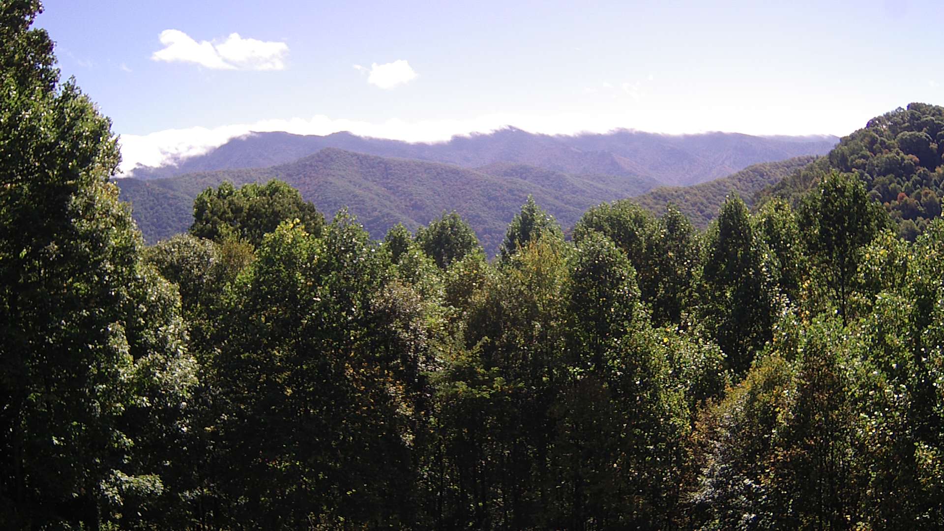 click for next image... slideshow image