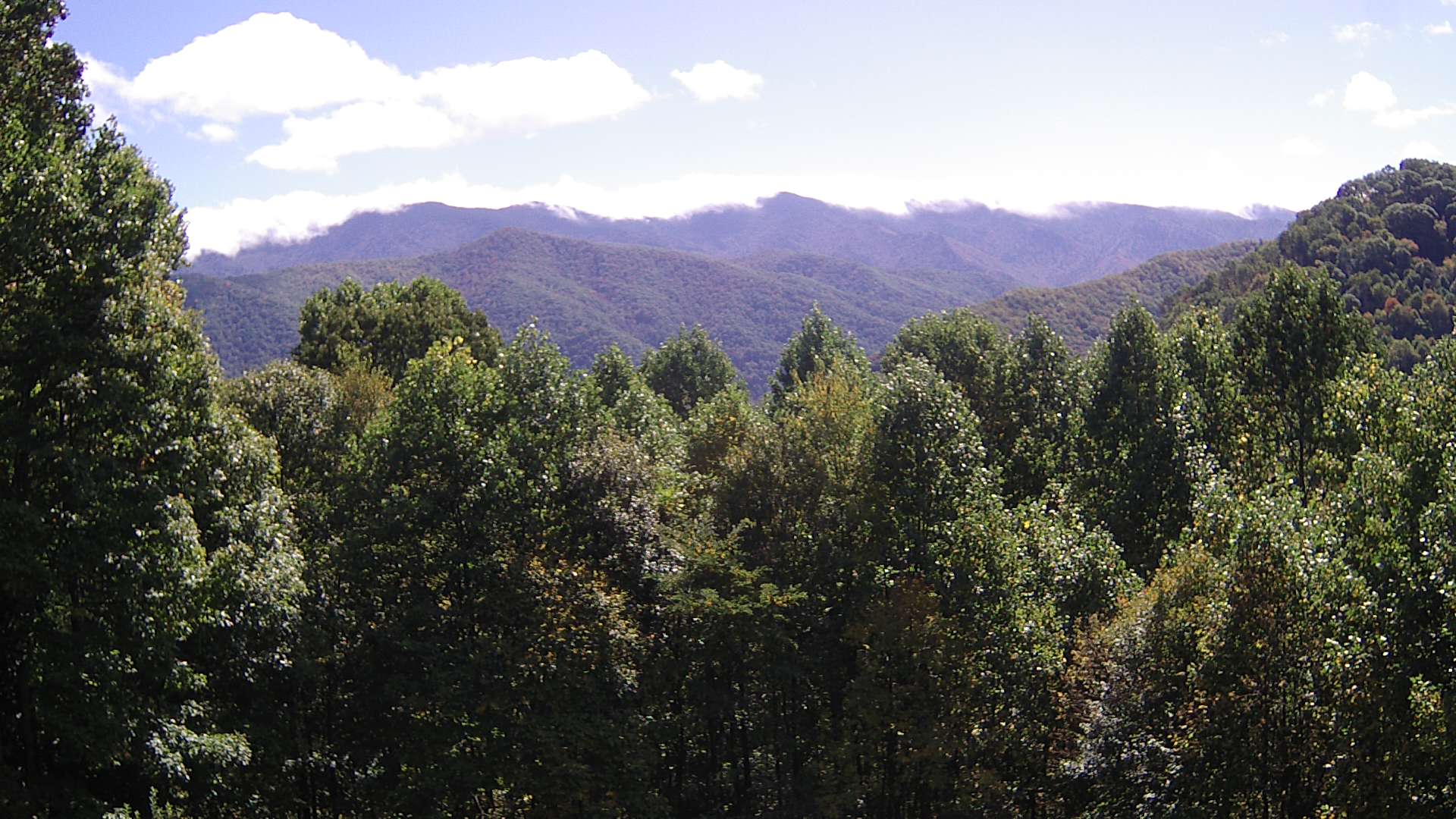 click for next image... slideshow image