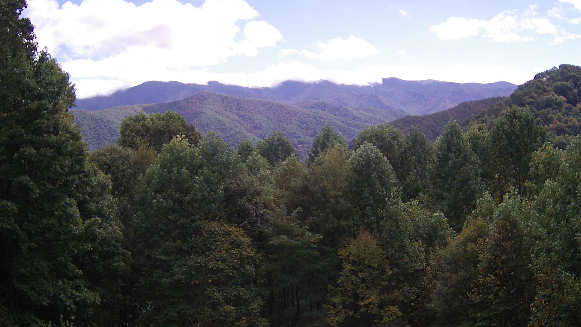 click for next image... slideshow image