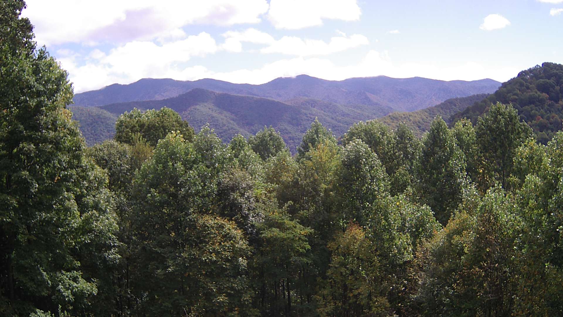 click for next image... slideshow image