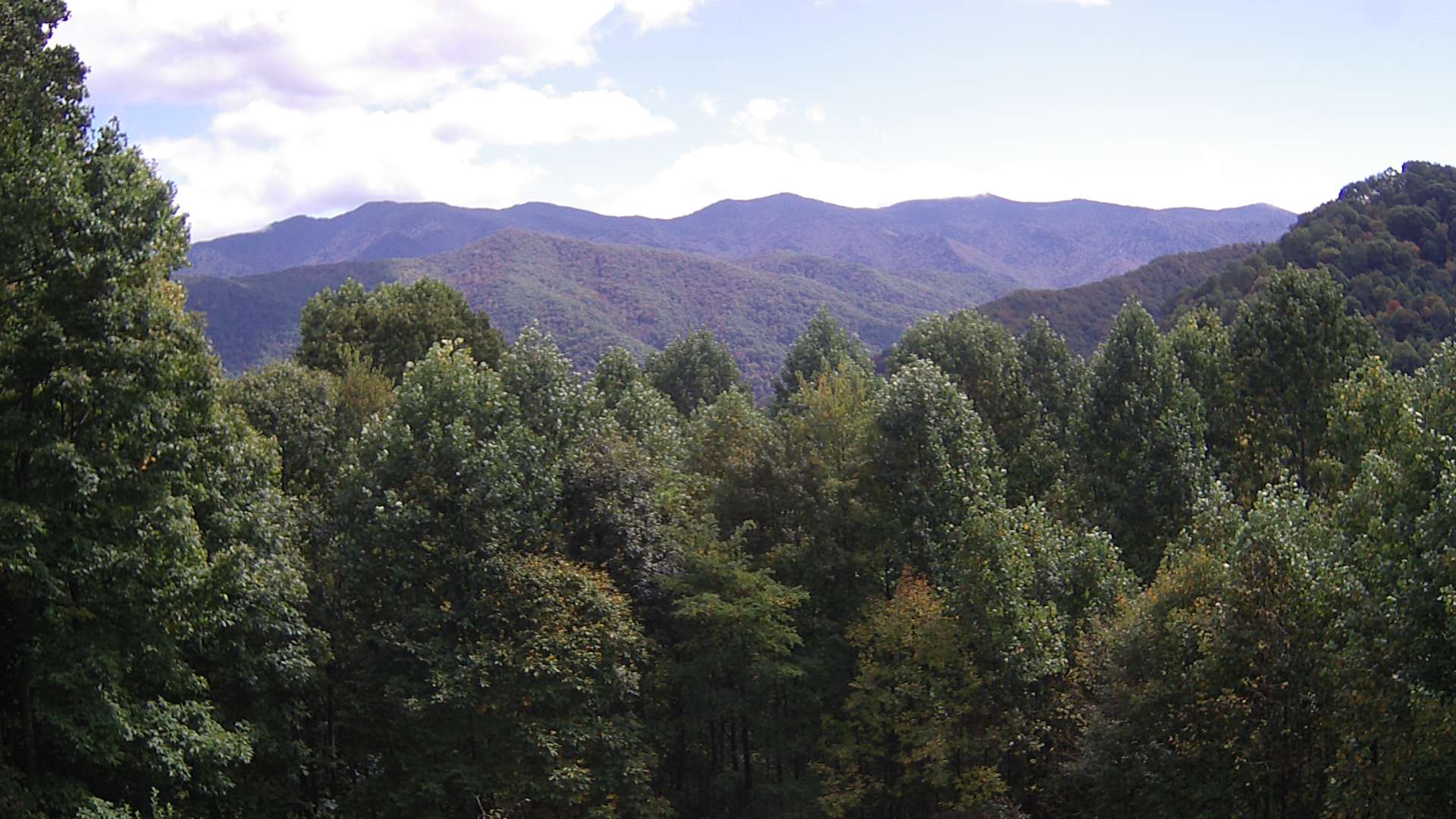 click for next image... slideshow image