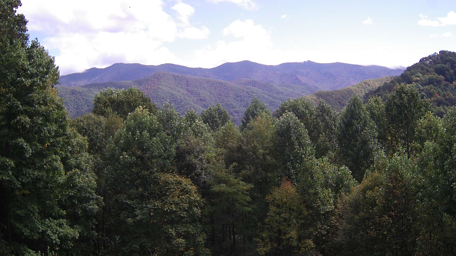 click for next image... slideshow image