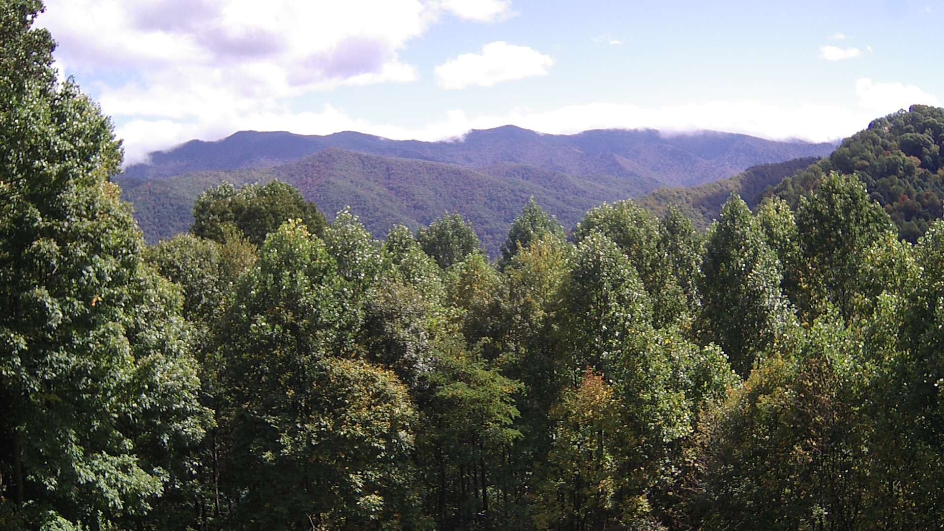 click for next image... slideshow image