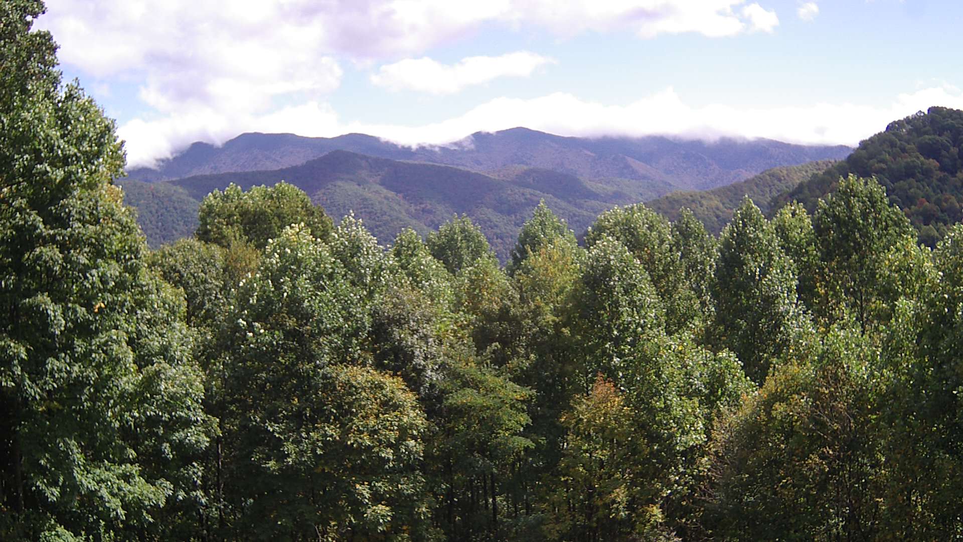 click for next image... slideshow image