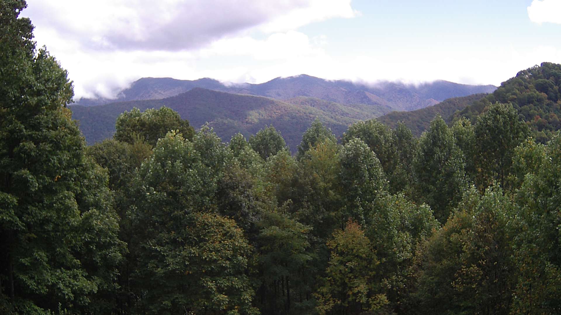 click for next image... slideshow image