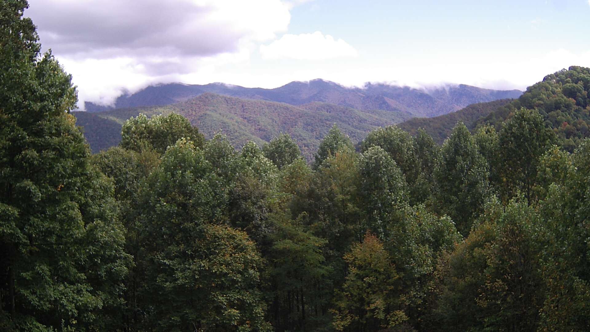 click for next image... slideshow image