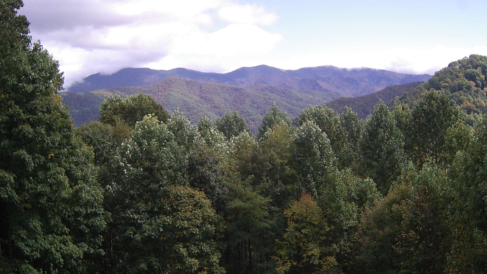 click for next image... slideshow image