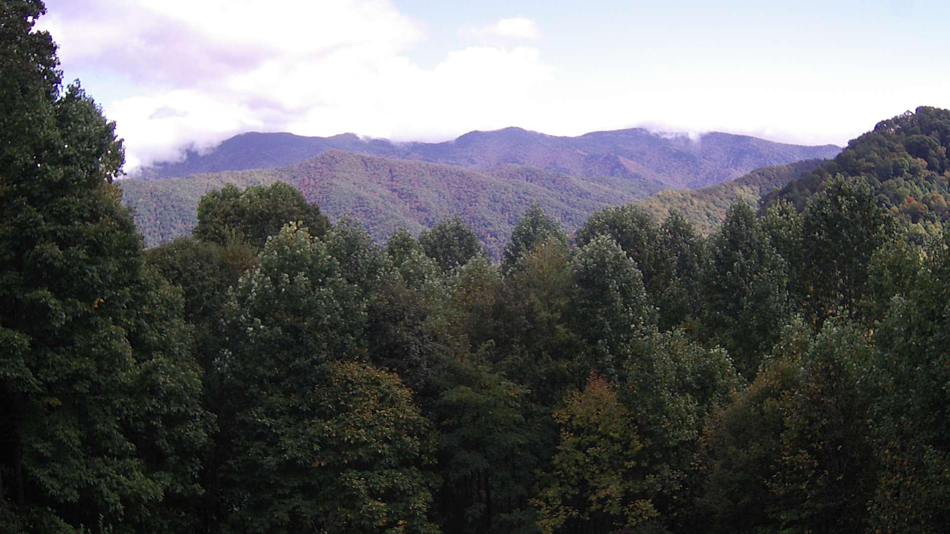 click for next image... slideshow image