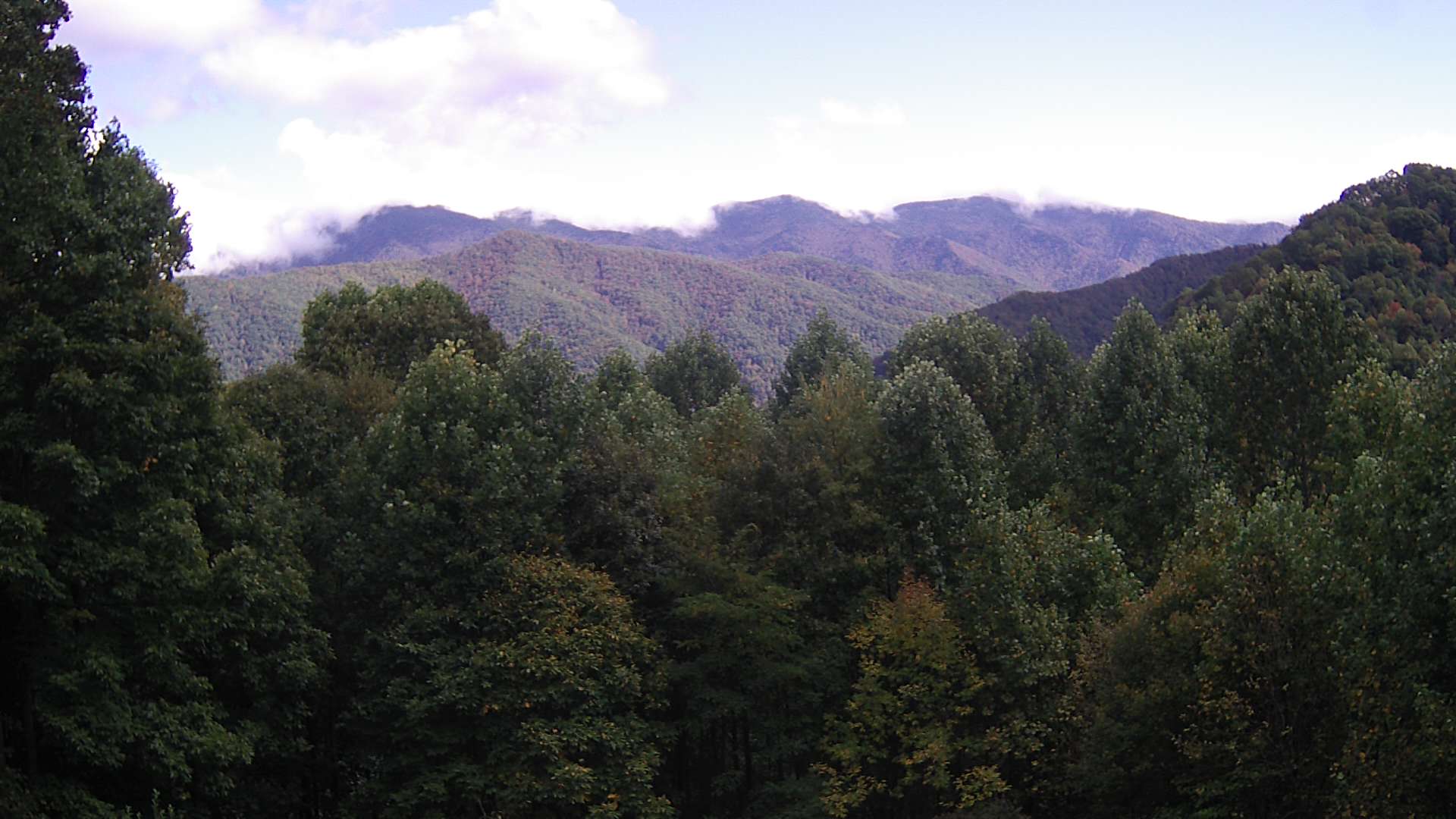 click for next image... slideshow image