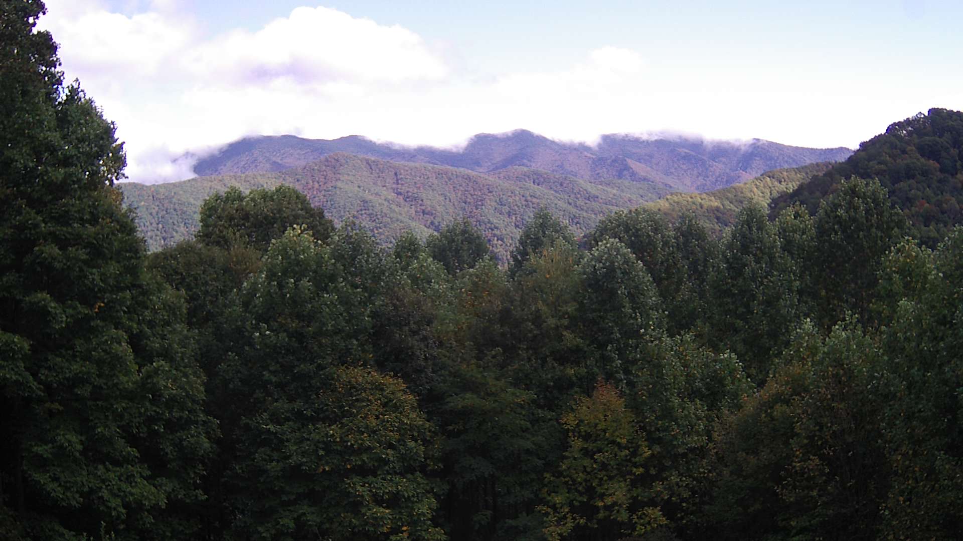 click for next image... slideshow image