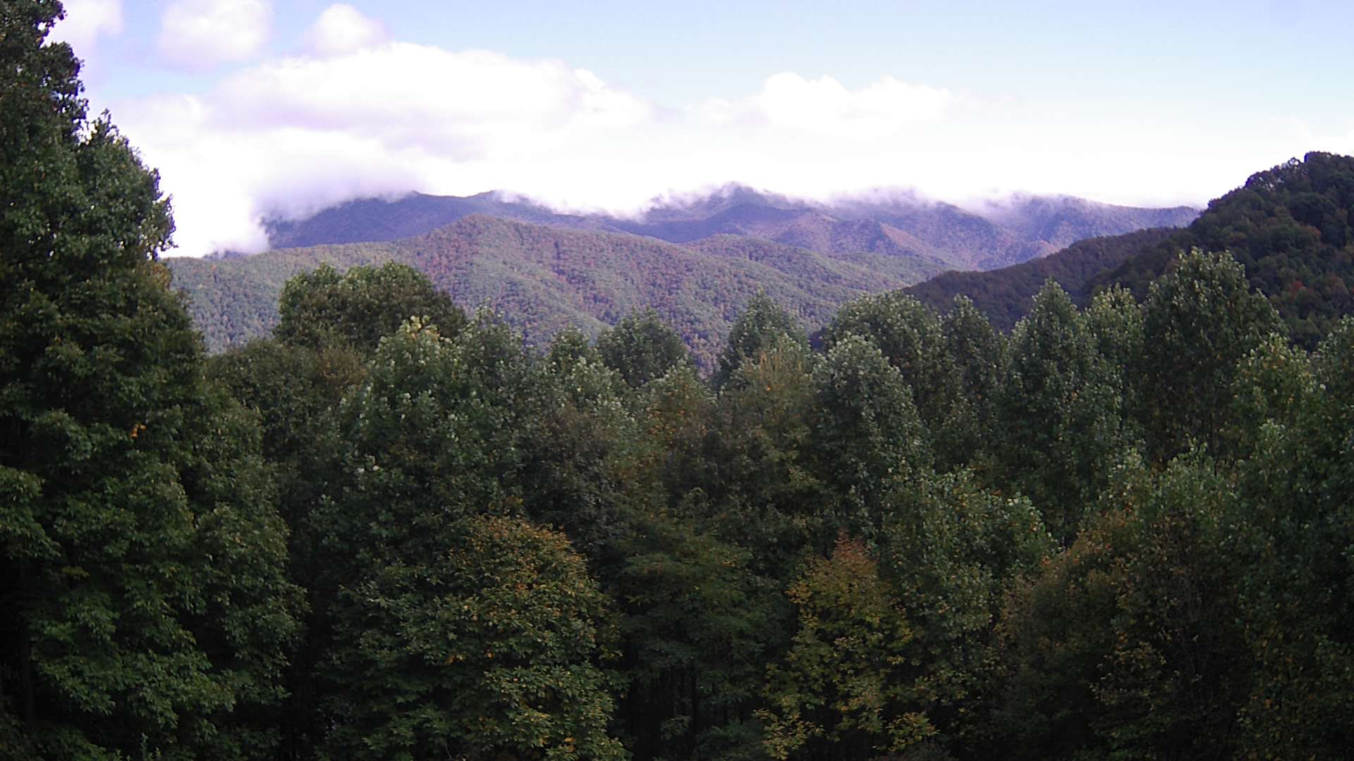 click for next image... slideshow image