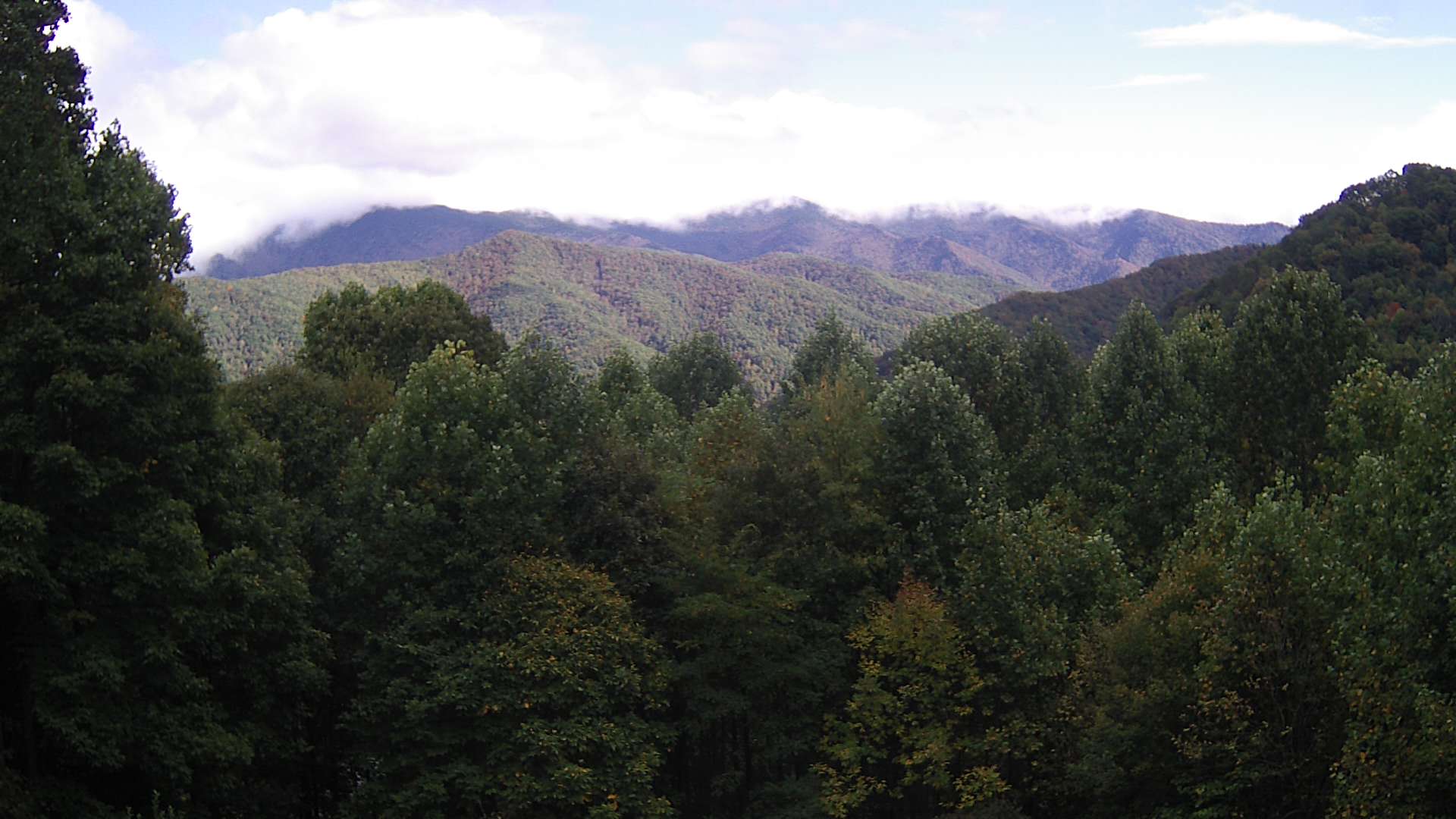 click for next image... slideshow image