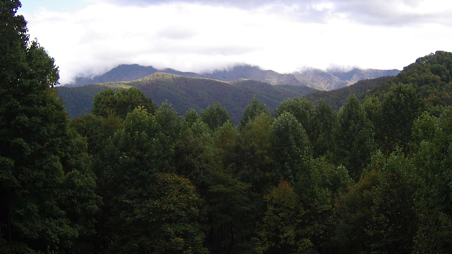 click for next image... slideshow image