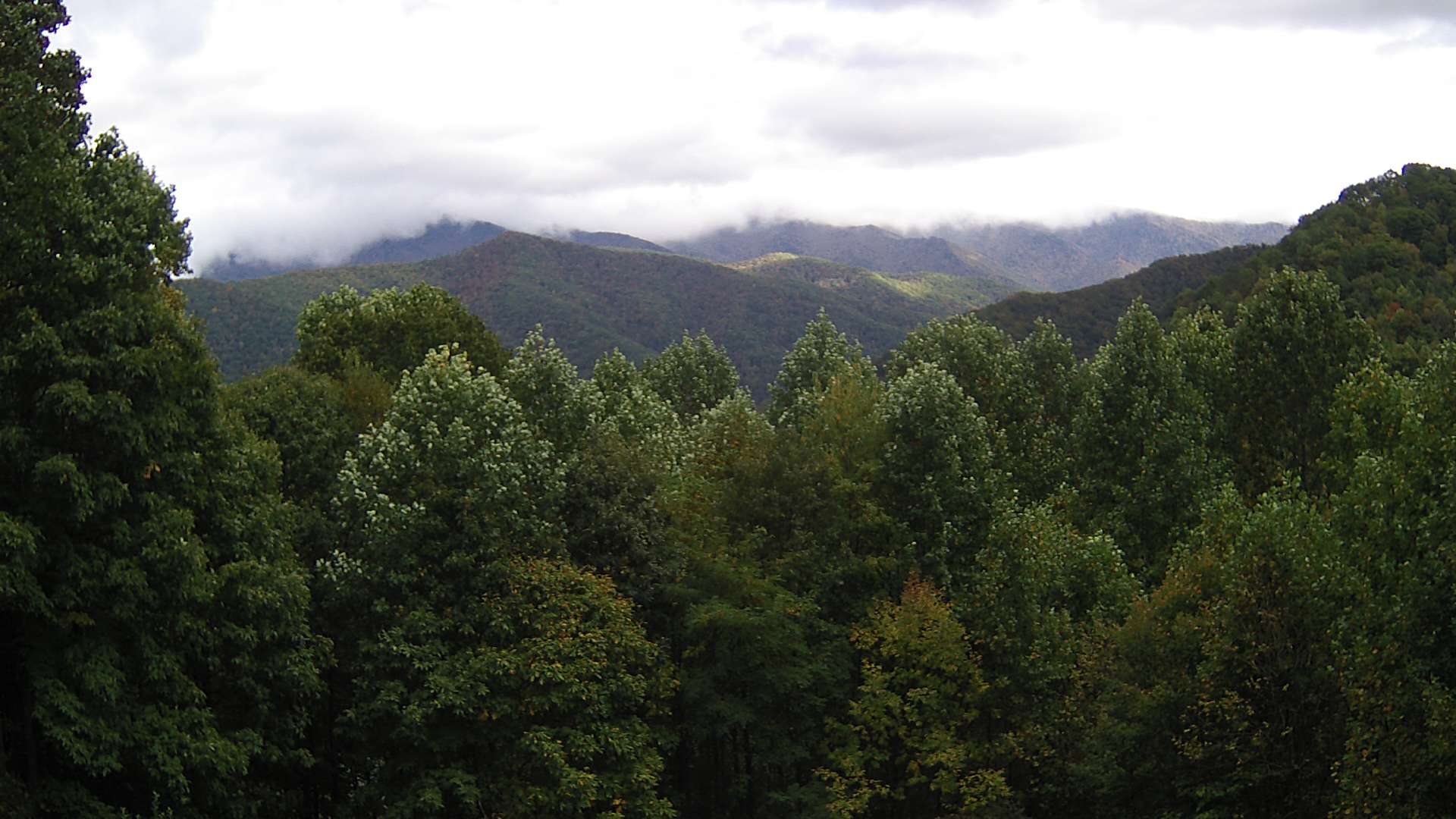 click for next image... slideshow image