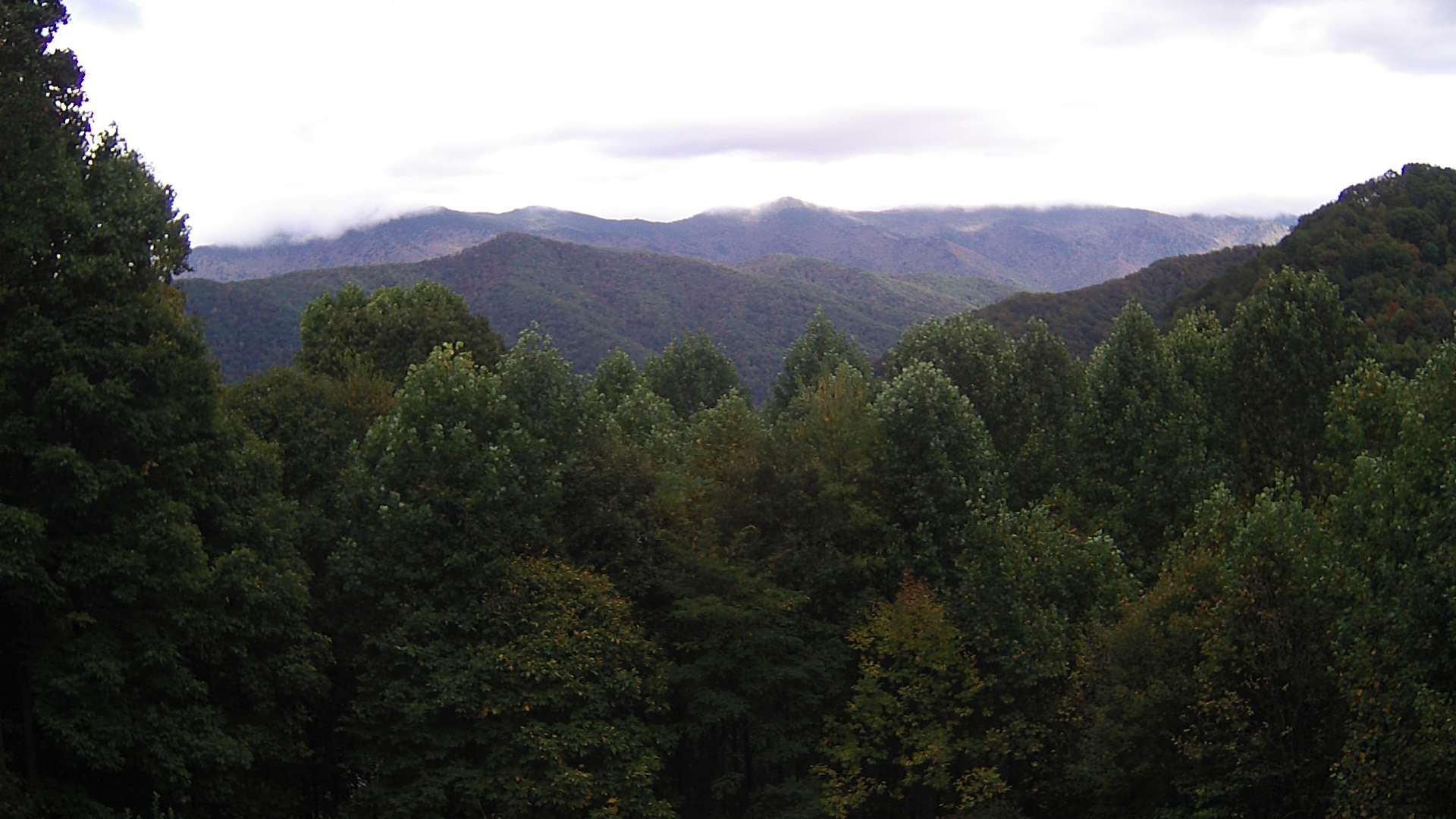 click for next image... slideshow image