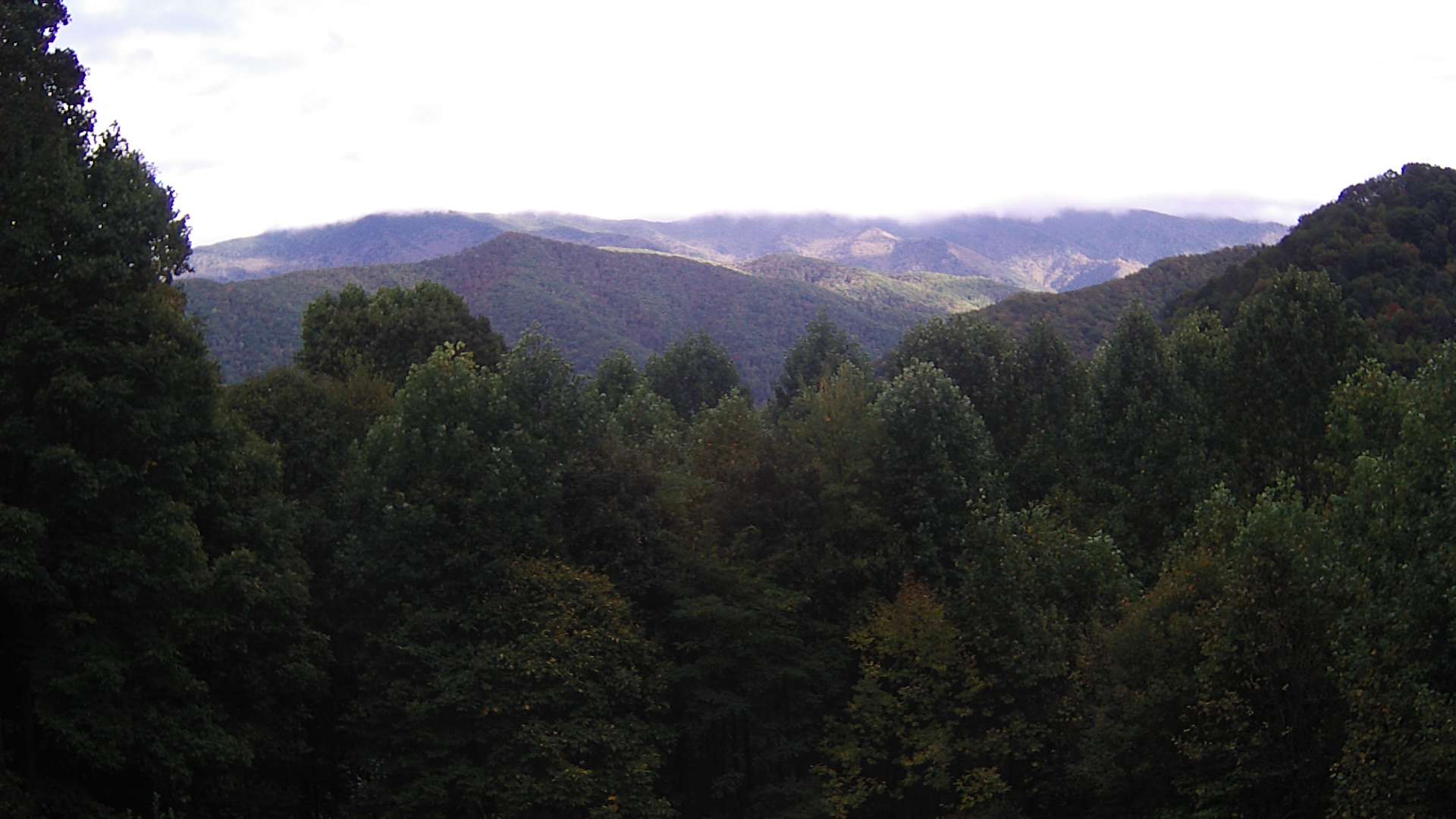 click for next image... slideshow image