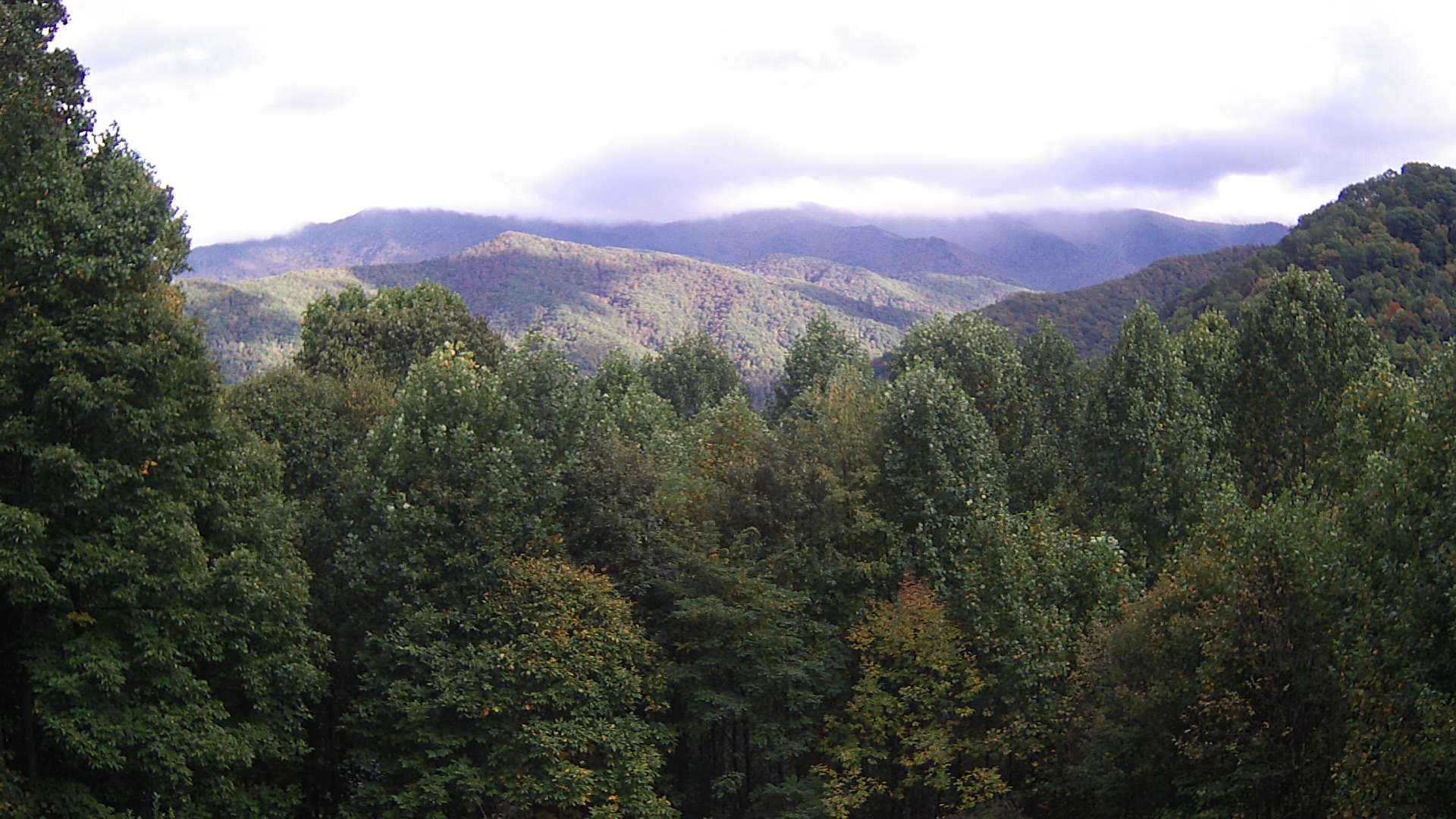 click for next image... slideshow image