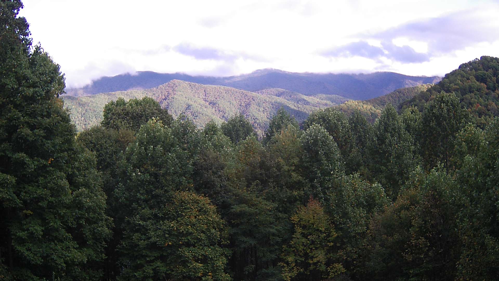 click for next image... slideshow image