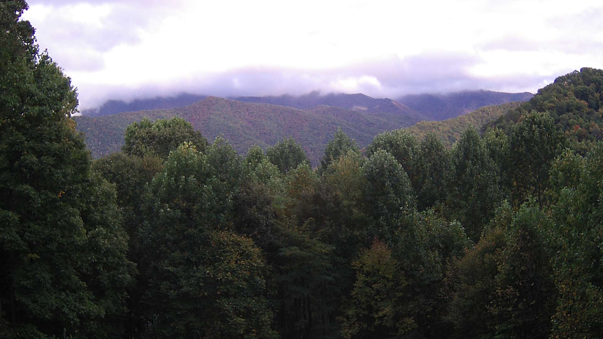 click for next image... slideshow image