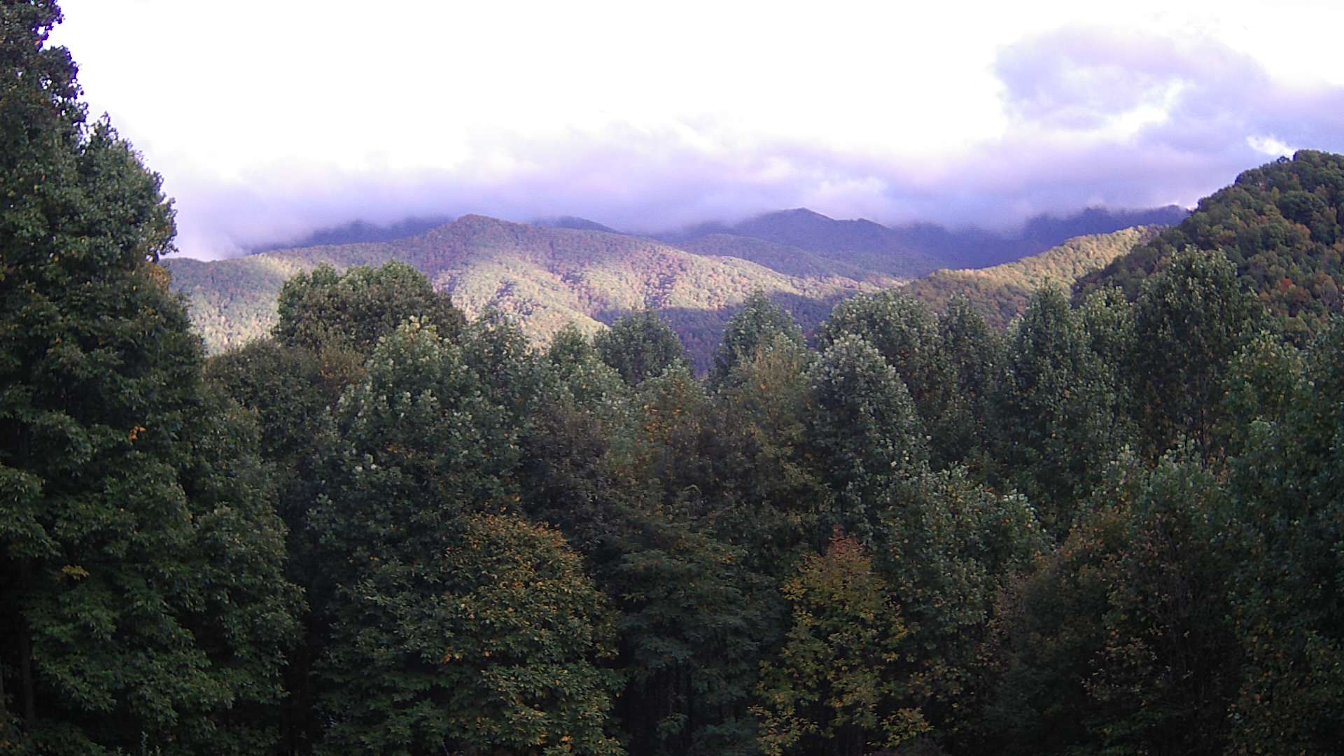 click for next image... slideshow image